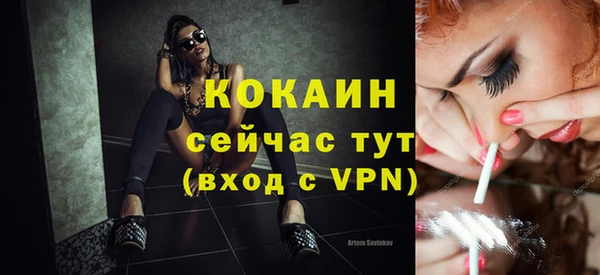 бошки Горняк