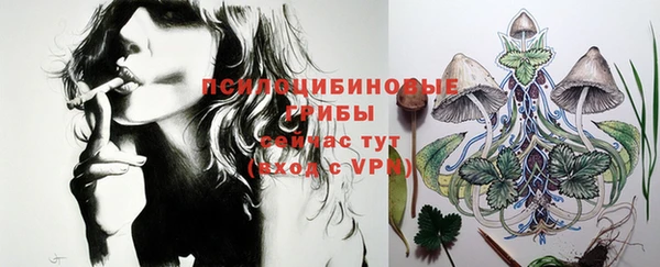 таблы Вяземский