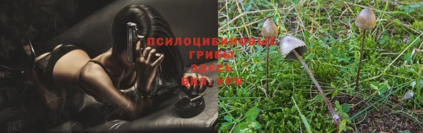 прущий лед Вязьма